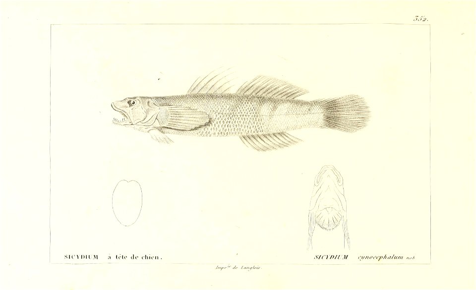 n40_w1150