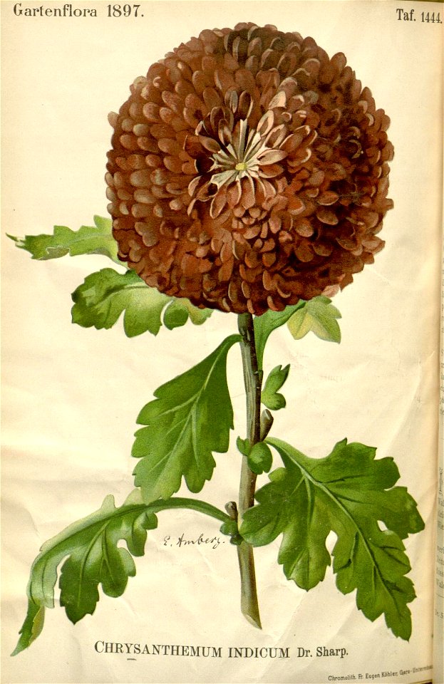 n693_w1150