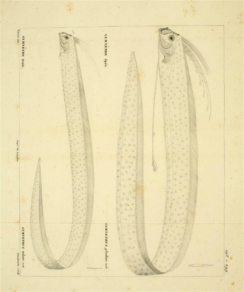 n276_w1150