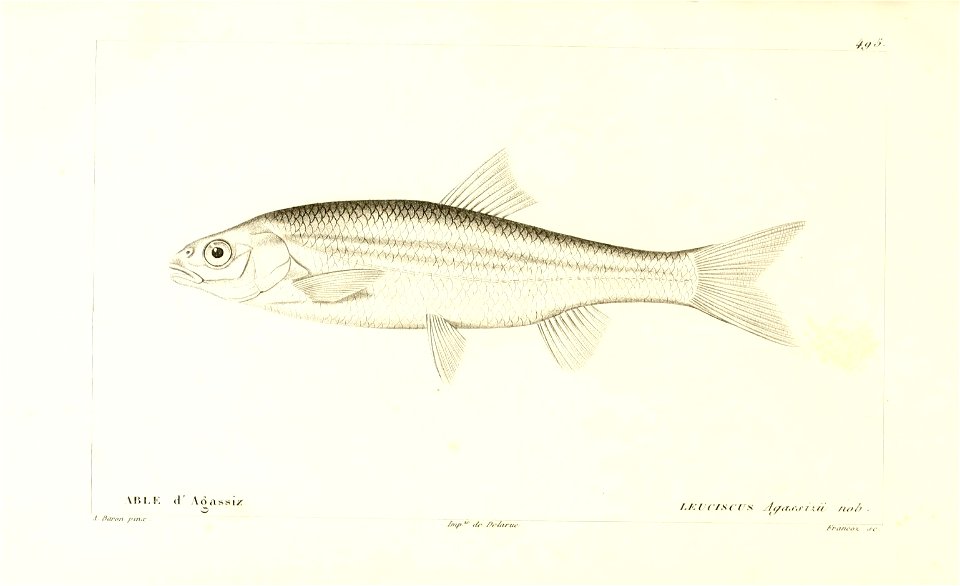 n318_w1150
