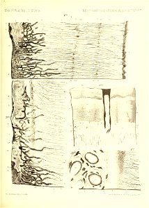 n776_w1150