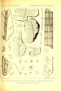 n270_w1150