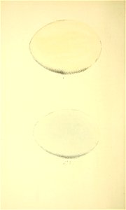 n291_w1150