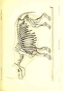 n554_w1150
