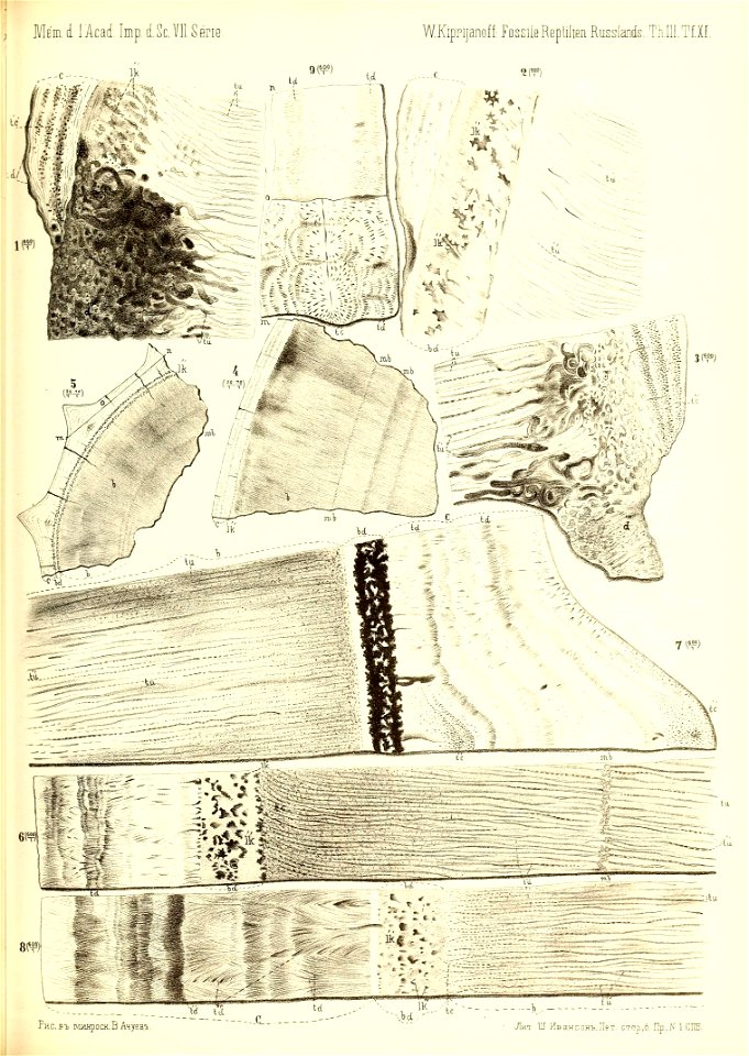 n392_w1150
