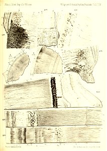 n392_w1150