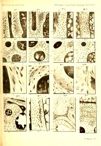 n588_w1150
