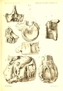 n558_w1150