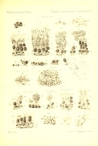 n912_w1150