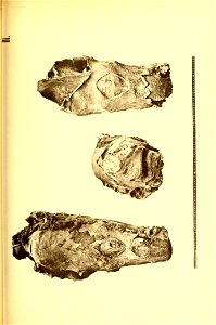 n614_w1150