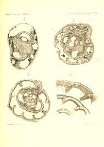 n912_w1150
