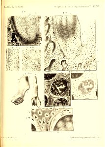 n804_w1150