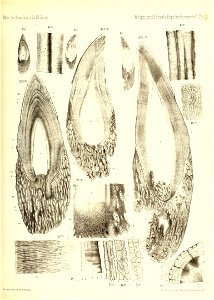 n772_w1150