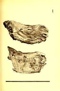 n612_w1150