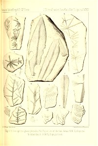 n296_w1150