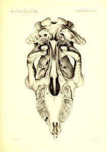 n482_w1150