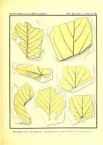 n378_w1150