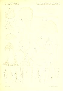 n56_w1150