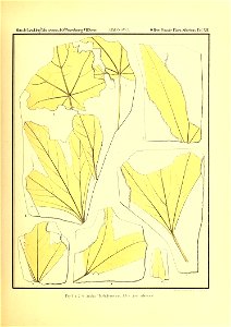 n280_w1150
