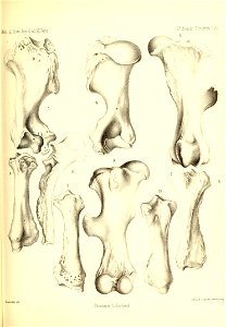 n550_w1150