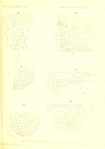 n712_w1150