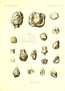 n838_w1150