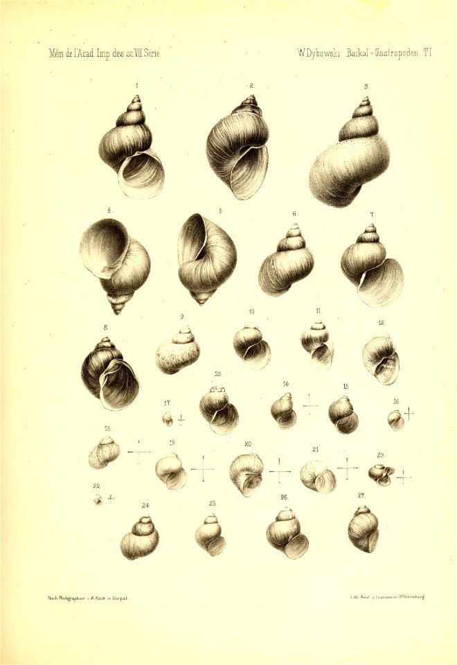 n598_w1150