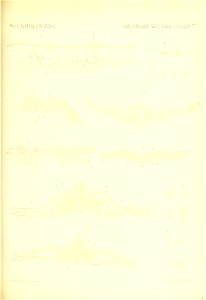 n886_w1150