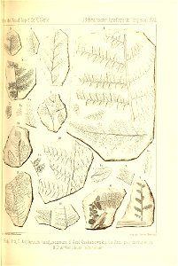 n294_w1150