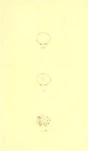 n34_w1150