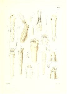n722_w1150