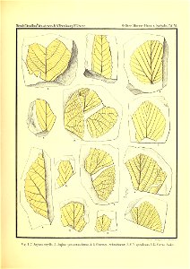n376_w1150