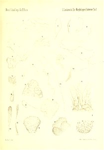 n54_w1150