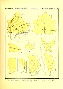 n278_w1150