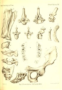 n548_w1150