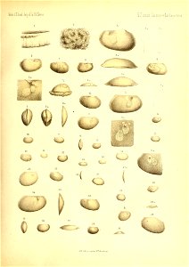 n128_w1150