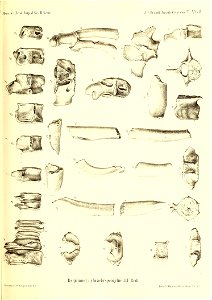 n446_w1150
