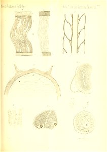 n814_w1150