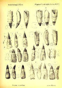 n768_w1150