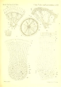 n804_w1150