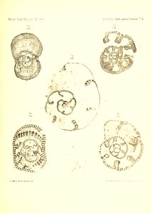 n906_w1150