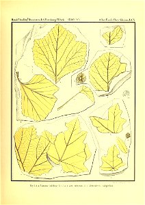 n276_w1150