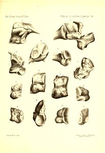 n906_w1150
