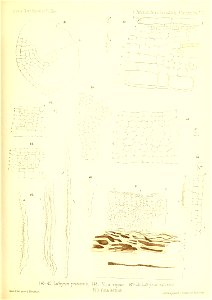 n708_w1150