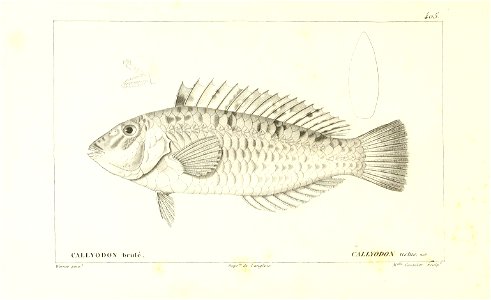 n142_w1150