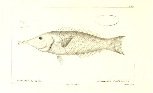 n112_w1150