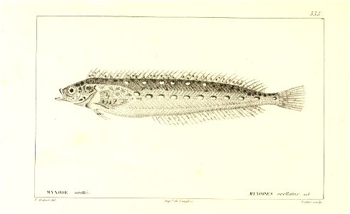 n18_w1150