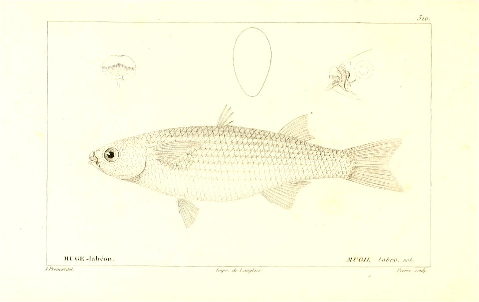 n294_w1150