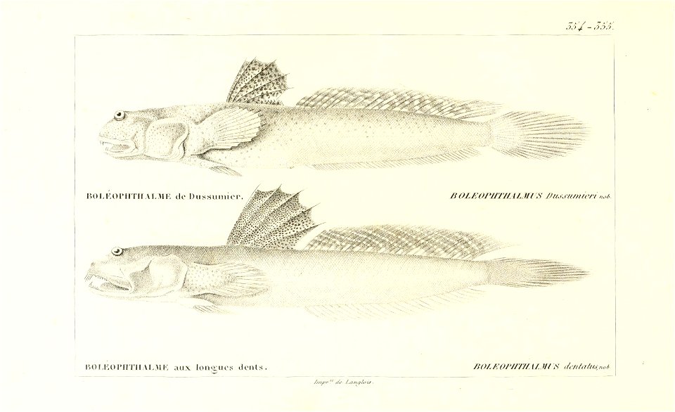 n44_w1150