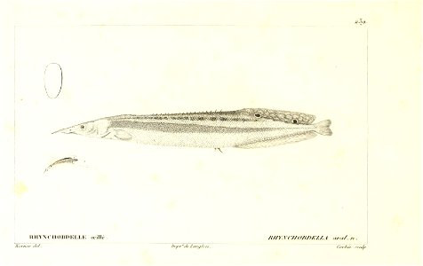 n164_w1150